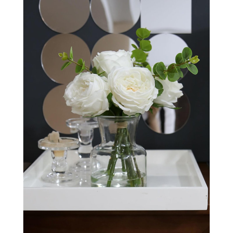 Plante de 13 po, Blanc