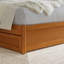 Lit plateforme en bois massif avec lit gigogne Lamecia-786355750-786355756