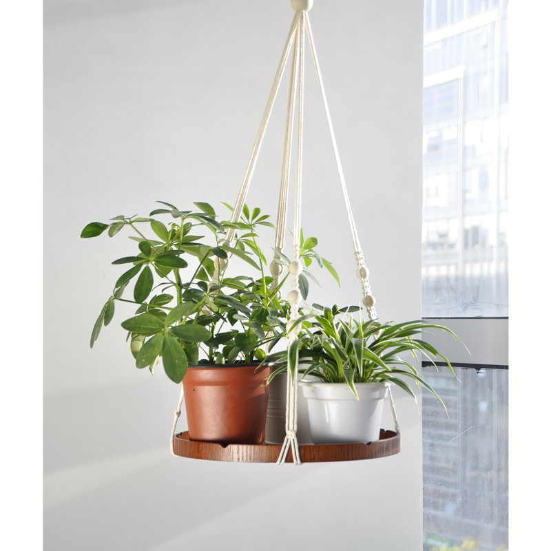 Support à plante en bois