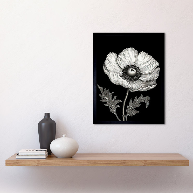 Aamirah White On Black Single Detailed Anemone Flower - Single Picture Frame Print