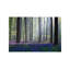 Adrian Popan - Wrapped Canvas Print-50002561