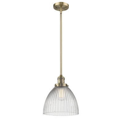 Montrose Dimmable 1 - Light Pendant