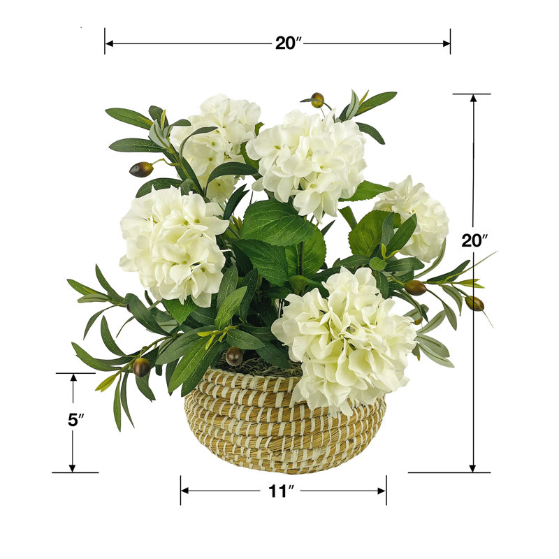 Hortensia blanc mélangé de 20 pouces et olive dans un panier blanc bas
