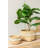 Dunmall Pot Planter