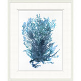 Indigo Seagrass 4 Framed Print