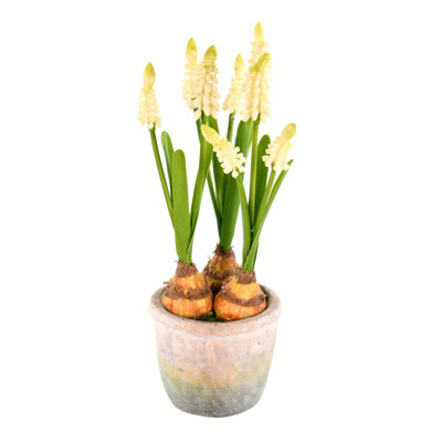 Jacinthes artificielles 10 po dans un contenant