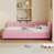 Rose est en rupture de stock