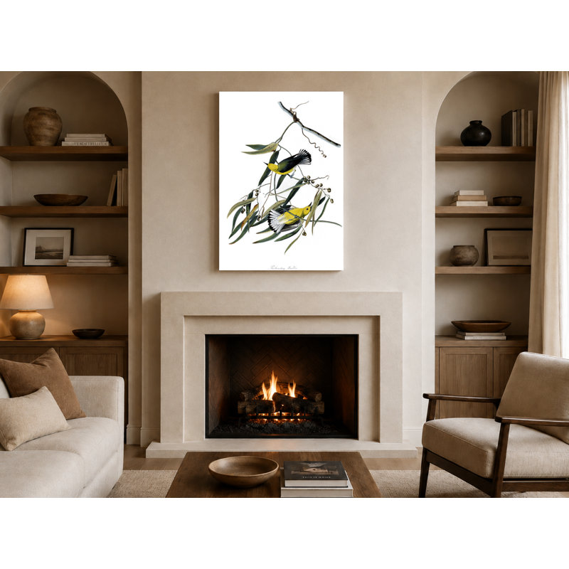 Prothonotary Warbler (Plate 3) - Portrait, art mural sur toile, 14" W x 11" H