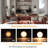 Macallan Iron Metal 2 LED lights Wall Sconces