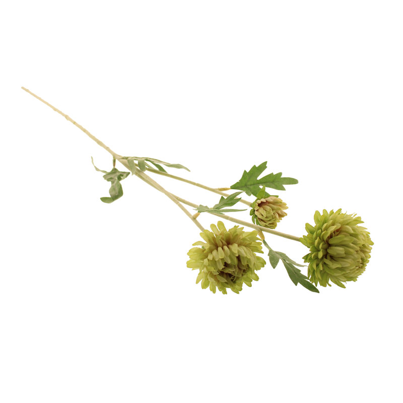 Mum Arrangement, Green