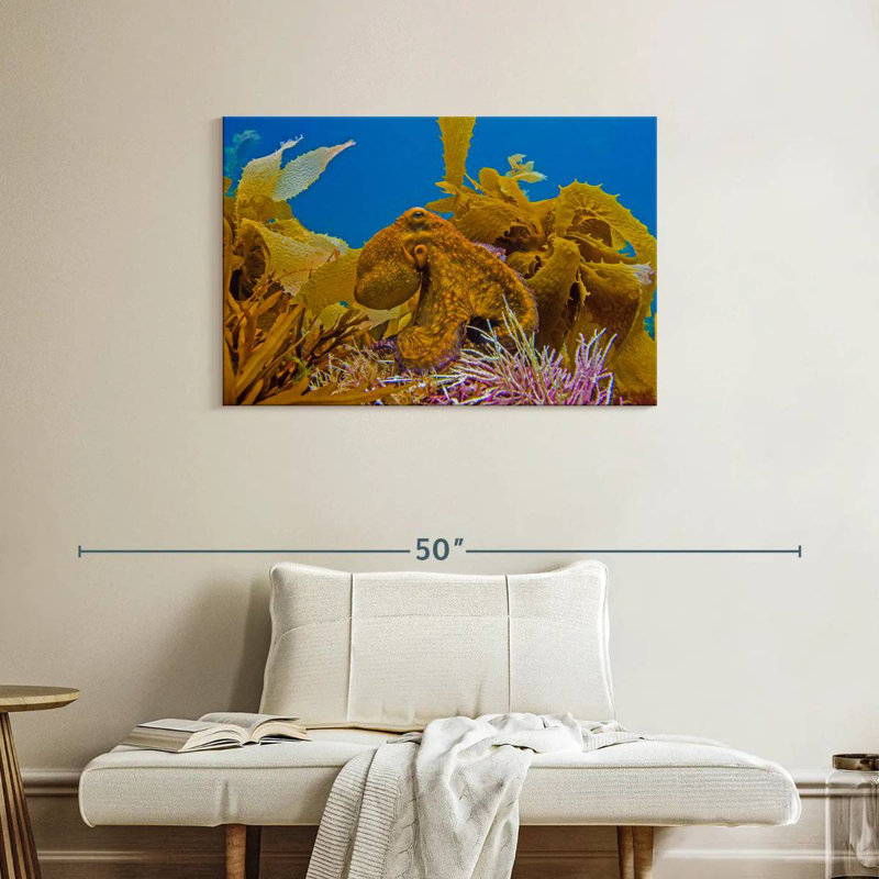Crowle Reef Octopus And, 24" H x 36" W