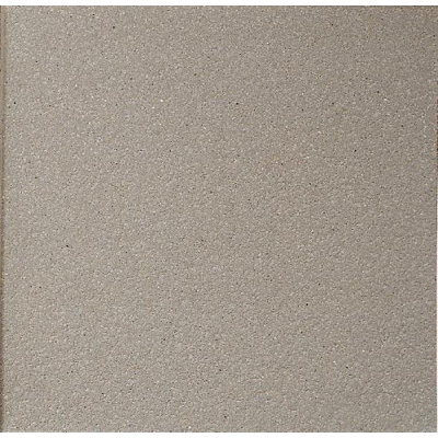 Daltile Quarry Textures Floor Tile in Matte