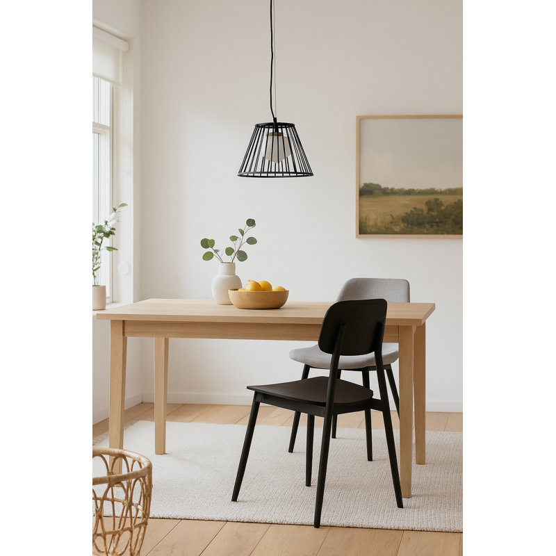 Asi 1 - Light Single Pendant, Black
