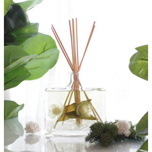 Gardens Plant / Floral Reed Diffusers And Sticks