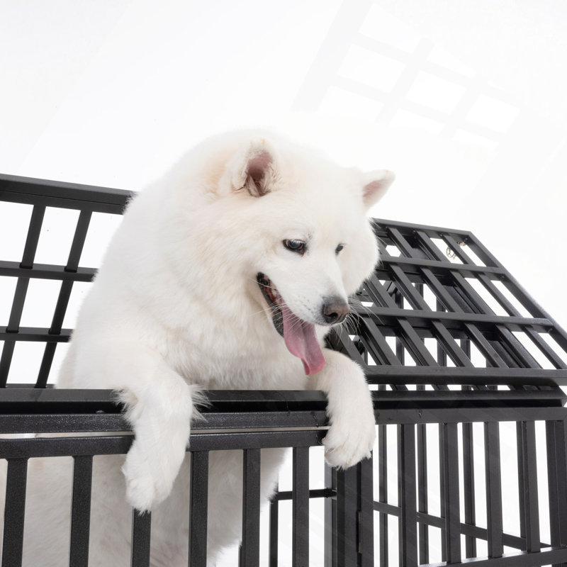 Cage pour chien 52 po