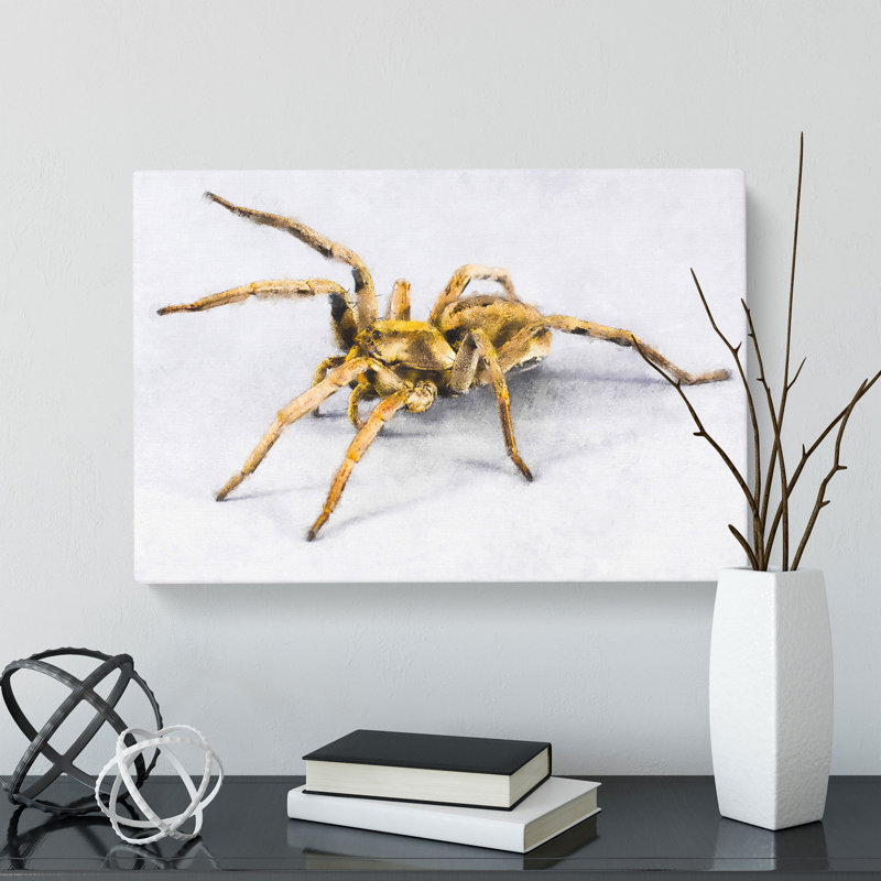 Tarantula Spider - Wrapped Canvas, 35cm H x 60cm W x 3cm D