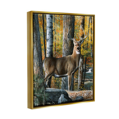 "Stupell Industries", art mural sur toile, "Deer Parmi Autumn Foliage" par Kevin Daniel