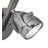 Danelys Steel Spotlight