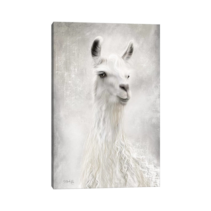 Lulu The Llama Up Close by Marla Rae - Wrapped Canvas Print, 101.6 cm H x 66.04 cm W x 1.91 cm D