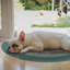 Tapis de sol Rainbow