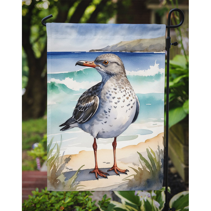 Drapeau de jardin Surfbird Bird, Surfbird