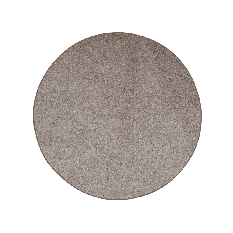 Modern Plush Pet and Kids Friendly Solid Color Beige Area Rugs, Stain & Fade Resistance, Perfect for Living Room, Dining Room, Bedroom, Playroom and Kidsroom, Event, Wedding, Southwest Rug