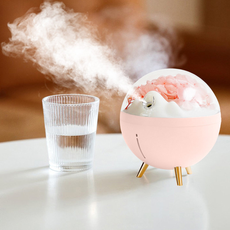 Humidificateur de fleurs spatiales petit portable de couleur humeur veilleuse silencieuse à deux vitesses brume d'humidification instrument hydratant à pulvérisation de fleurs immortelles