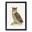 Eurasian Eagle-Owl by Von Wright - Picture Frame Painting Print-55725975-55725978