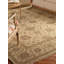 Mcgee Wool Oriental Area Rug in Ivory-1924060295