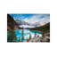 Man Sitting Near Moraine Lake, Banff National Park, Canada by Matteo Colombo - Wrapped Canvas Print-22176473