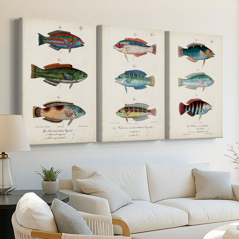 Antique Fish Trio I - Toile tendue avec châssis sur mesure - 3 pièces, H 12 po x l 24 po