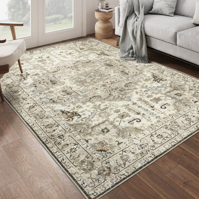 Stain Resistant Washable Rug, Anti-Slip Backing Area Rugs for Living Room (Brown/Ivory)