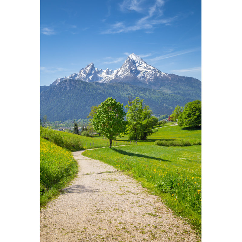 Green Meadows by Bluejayphoto - Wrapped Canvas Print, 46cm H x 30cm W x 3.8cm D