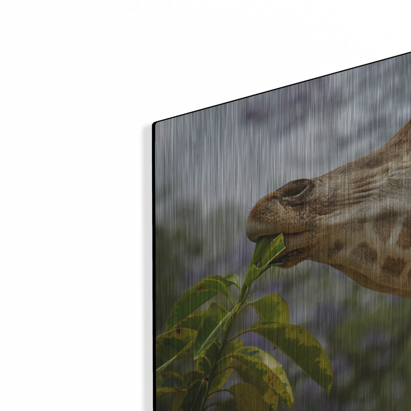 " Giraffe " by SD Smart, 12" H x 16" W
