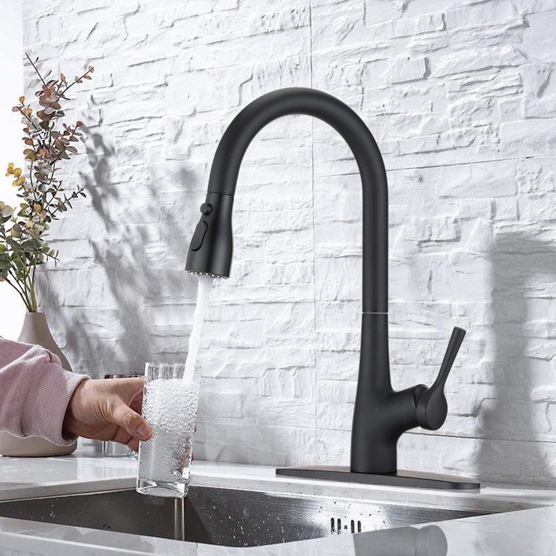 JOYHOPE Kitchen Faucet, Matte Black