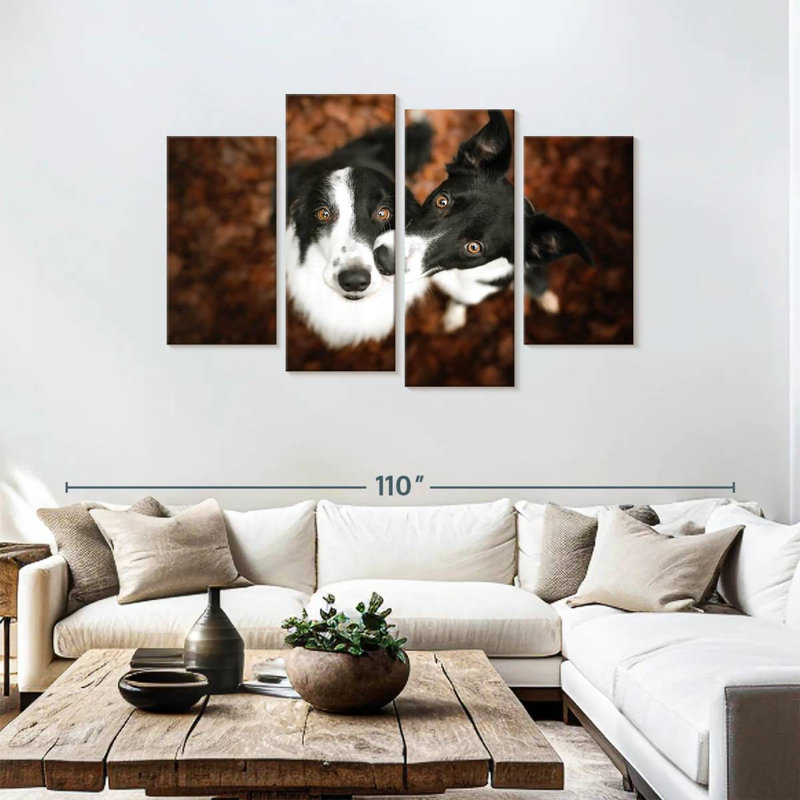 Brampt Adorable Border Collies, 48" H x 75" W