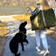 Lit pour animal de compagnie Gus, armée-1415898894-1415898892