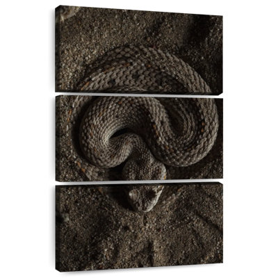 Brampt Coiled Horned Rattlesnake