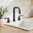 Wishful 8. in Widespread 2-Handle Bathroom Faucet-110897454