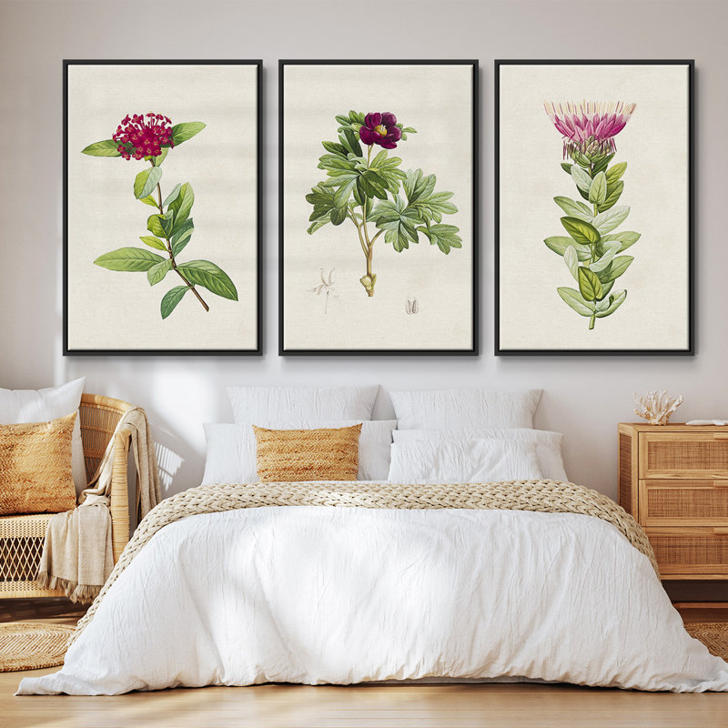 «Pretty Pink Botanicals II», ensemble de 3 toiles encadrées, H 36 po x l 72 po, Noir