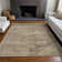 Machine Washable Indoor/Outdoor Claudian ACN1631 Brown Rug