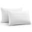 Oreiller en duvet d'oie + taie d'oreiller (paquet de 2)-796395020