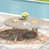 Coquillage de sable
