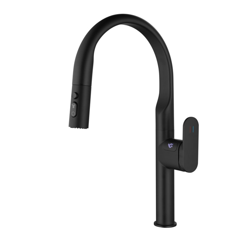MODLAND 1-handle Pull-Down 3-Function Sprayer Kitchen Faucet, Brushed Gold