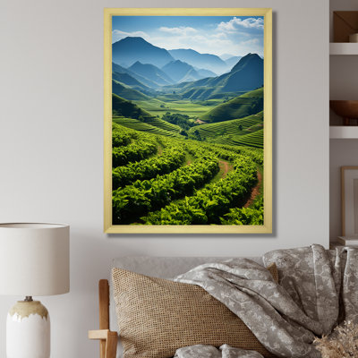 Cuba, champs de tabac I sur toile