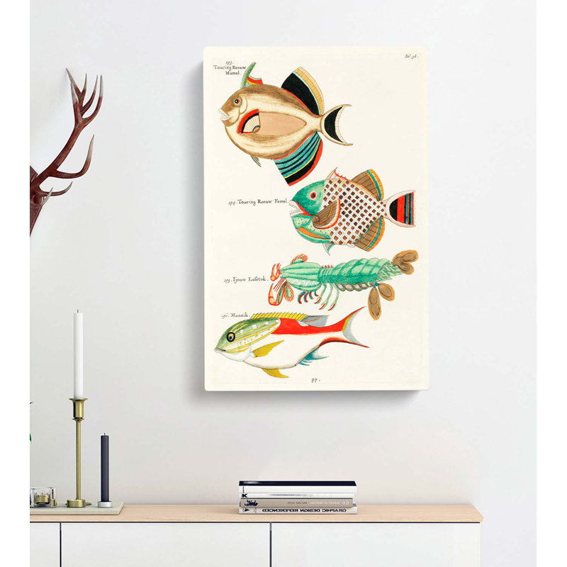 East Indies Fish & Lobster Illustrations Fol. 38 by Kuroda Seiki - Wrapped Canvas, 76cm H x 50cm W x 3cm D