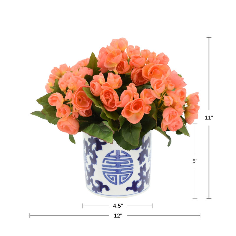 Begonia Arrangement In Ornamental Ceramic Vase, Peach