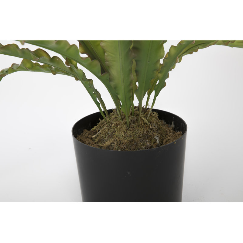 Plante grasse artificielle Bragdon en pot