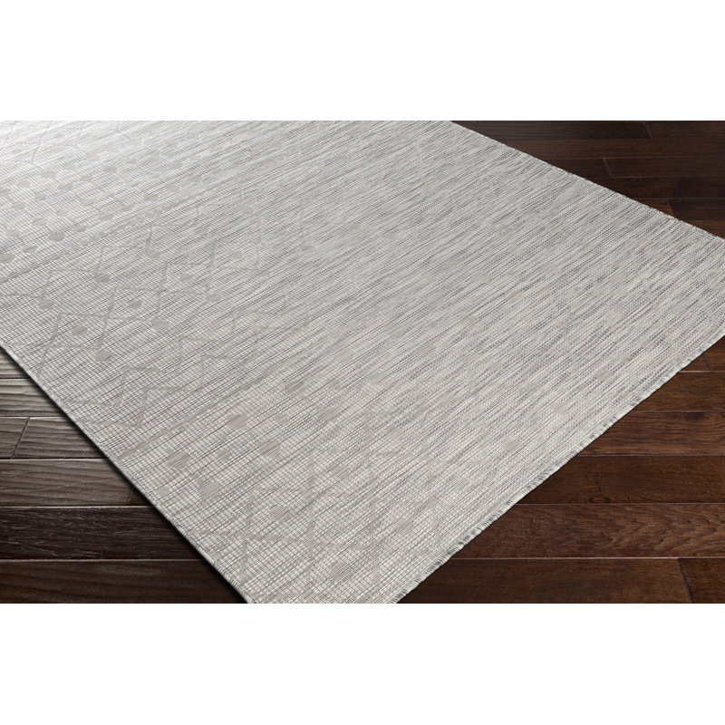 Isaha Indoor / Outdoor Rug, Rectangle 5'3" x 7'