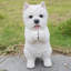 Statue jouant Westie